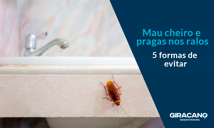 Evitar mau cheiro e pragas nos ralos