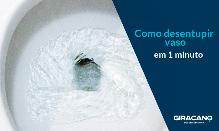 Como desentupir vaso em 1 minuto