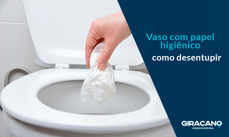 Como desentupir vaso sanitário com papel higiênico