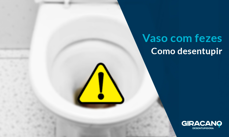Como desentupir vaso com fezes