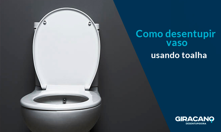 Como desentupir vaso usando toalha